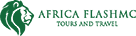 Africa Flash McTours Logo